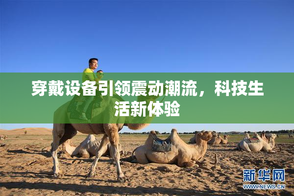 穿戴设备引领震动潮流，科技生活新体验