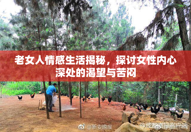 老女人情感生活揭秘，探讨女性内心深处的渴望与苦闷