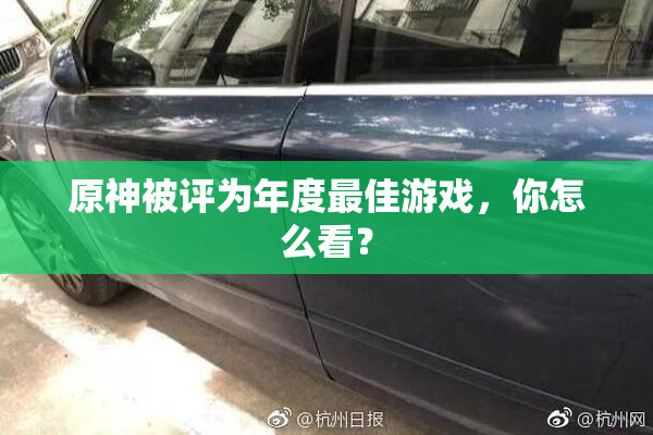 原神被评为年度最佳游戏，你怎么看？