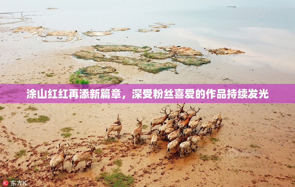 涂山红红再添新篇章，深受粉丝喜爱的作品持续发光