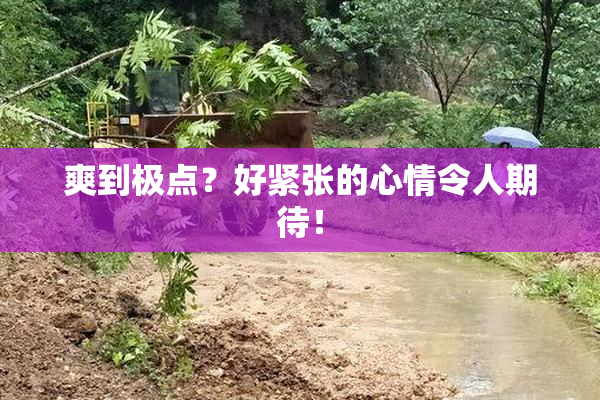 爽到极点？好紧张的心情令人期待！