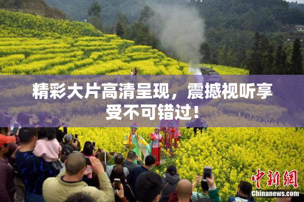 精彩大片高清呈现，震撼视听享受不可错过！