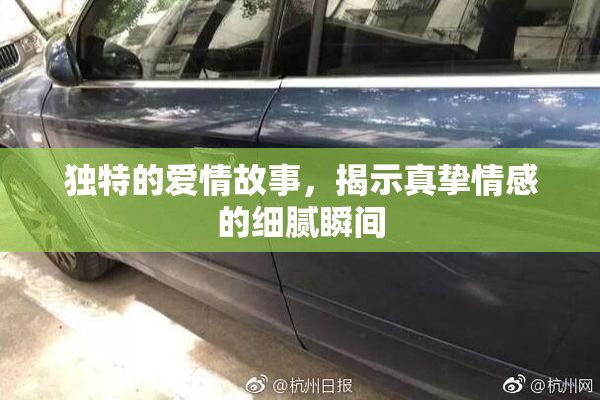 独特的爱情故事，揭示真挚情感的细腻瞬间