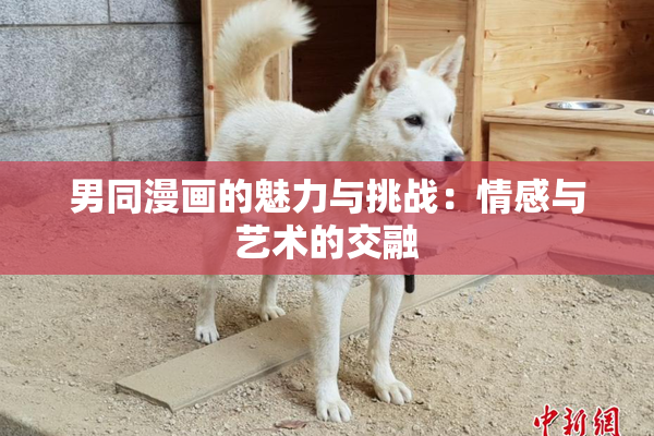 男同漫画的魅力与挑战：情感与艺术的交融