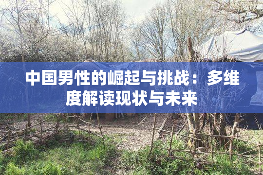 中国男性的崛起与挑战：多维度解读现状与未来