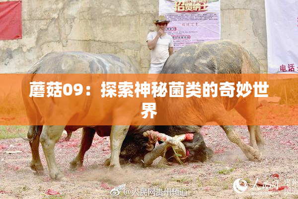 蘑菇09：探索神秘菌类的奇妙世界