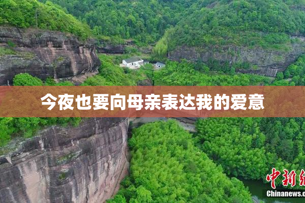 今夜也要向母亲表达我的爱意