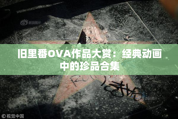旧里番OVA作品大赏：经典动画中的珍品合集