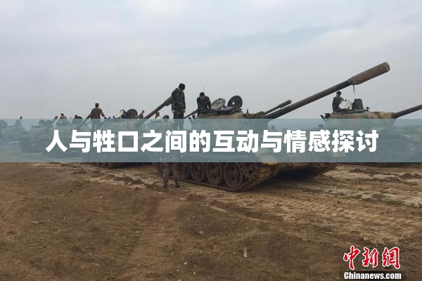 人与牲口之间的互动与情感探讨
