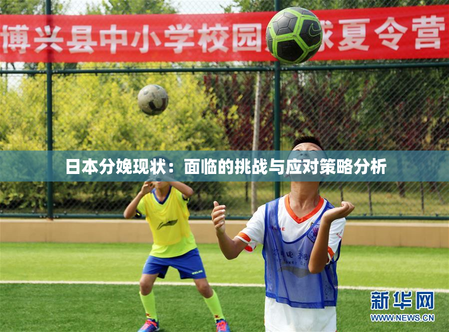 日本分娩现状：面临的挑战与应对策略分析