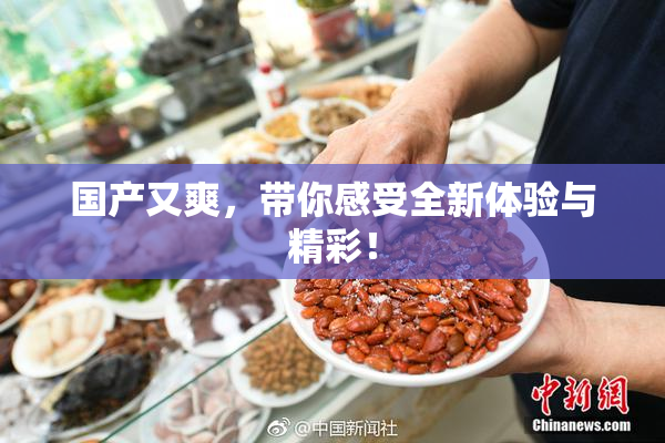 国产又爽，带你感受全新体验与精彩！