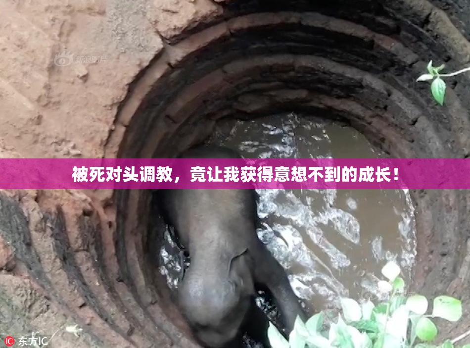 被死对头调教，竟让我获得意想不到的成长！