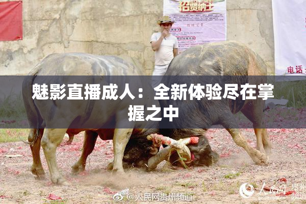 魅影直播成人：全新体验尽在掌握之中
