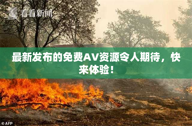 最新发布的免费AV资源令人期待，快来体验！