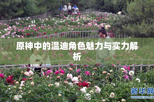 原神中的温迪角色魅力与实力解析