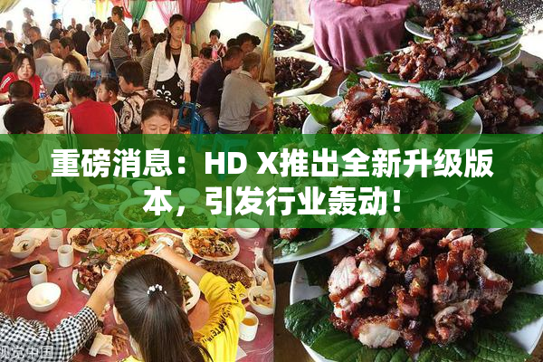 重磅消息：HD X推出全新升级版本，引发行业轰动！