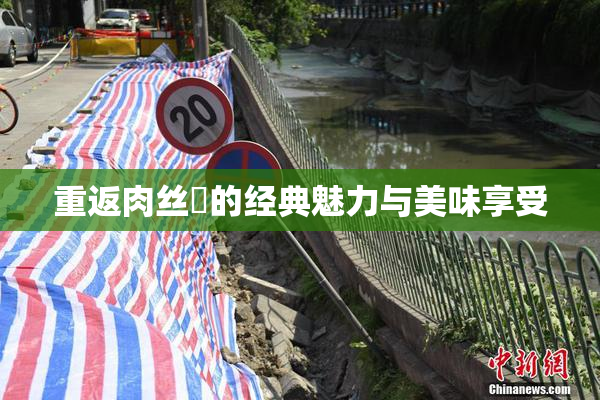 重返肉丝祙的经典魅力与美味享受
