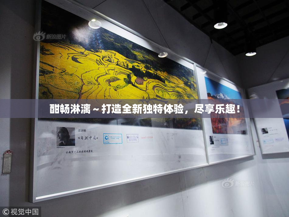 酣畅淋漓～打造全新独特体验，尽享乐趣！