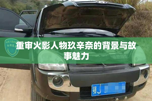 重审火影人物玖辛奈的背景与故事魅力