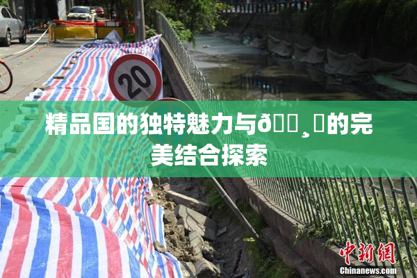精品国的独特魅力与🌸‌的完美结合探索