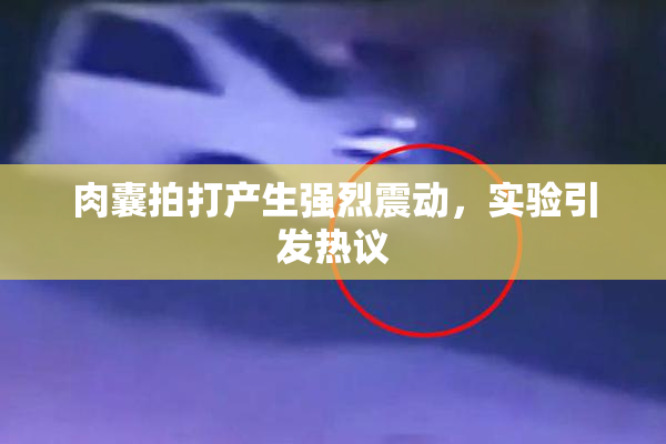 肉囊拍打产生强烈震动，实验引发热议
