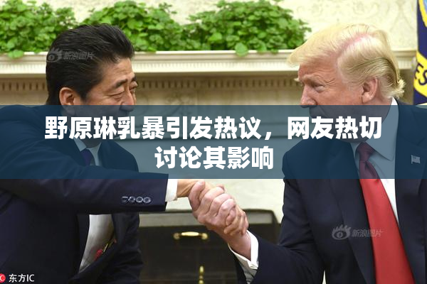 野原琳乳暴引发热议，网友热切讨论其影响