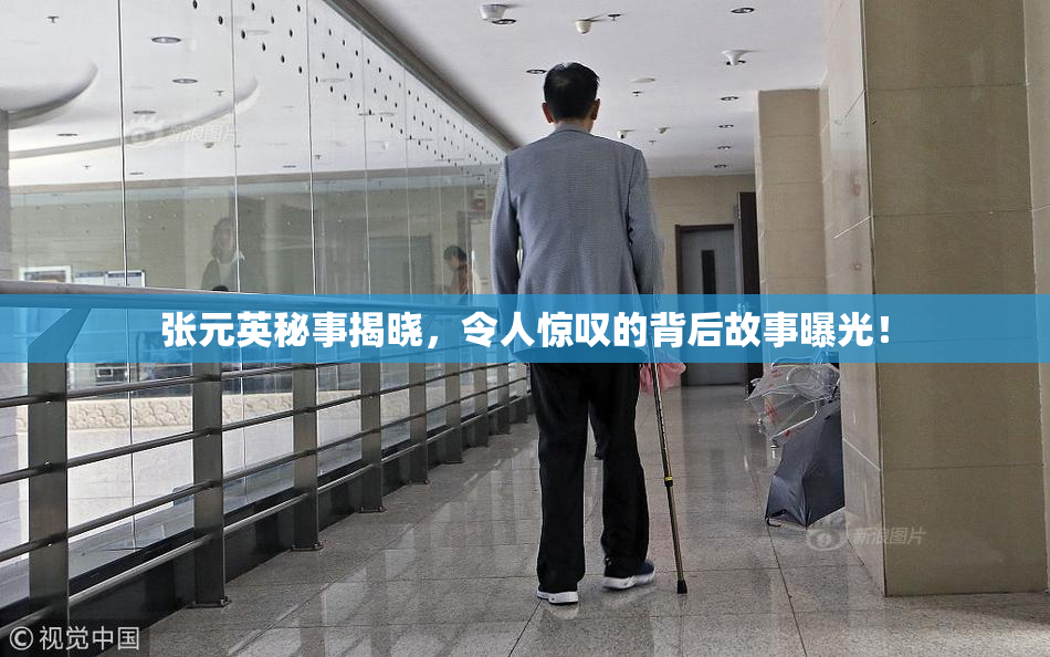 张元英秘事揭晓，令人惊叹的背后故事曝光！
