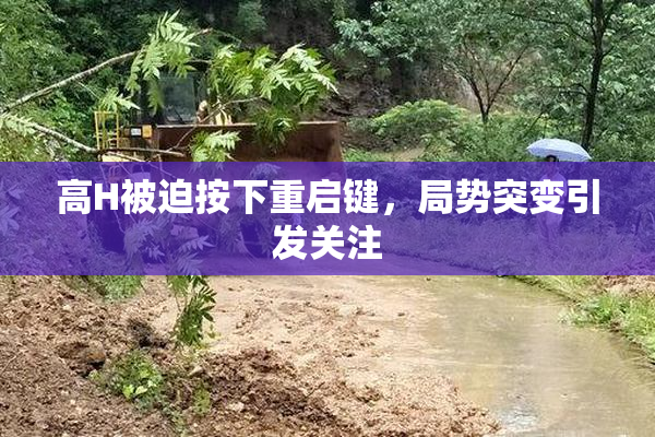 高H被迫按下重启键，局势突变引发关注