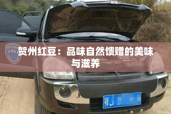 贺州红豆：品味自然馈赠的美味与滋养