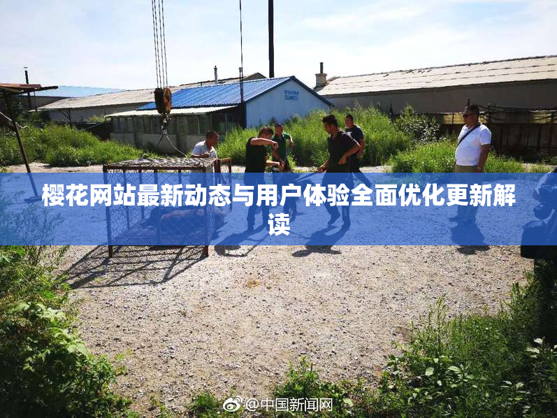 樱花网站最新动态与用户体验全面优化更新解读