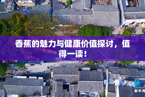 香蕉的魅力与健康价值探讨，值得一读！