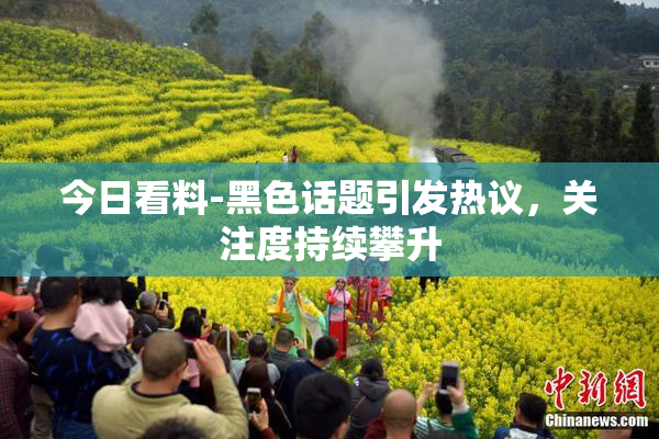 今日看料-黑色话题引发热议，关注度持续攀升