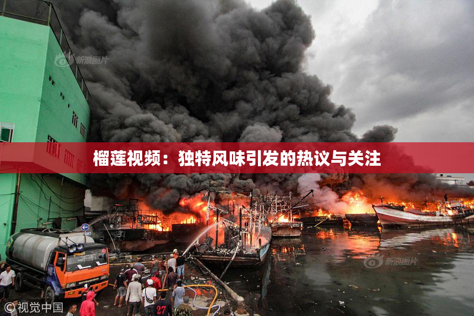 榴莲视频：独特风味引发的热议与关注