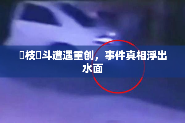 狛枝凪斗遭遇重创，事件真相浮出水面