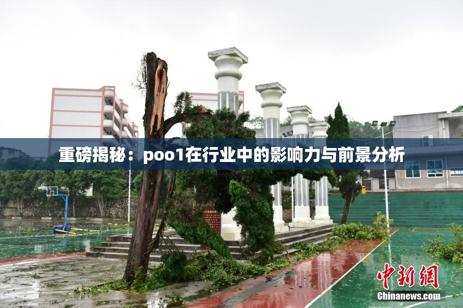 重磅揭秘：poo1在行业中的影响力与前景分析