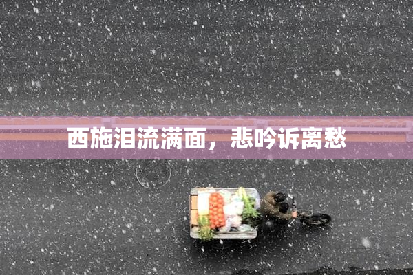 西施泪流满面，悲吟诉离愁