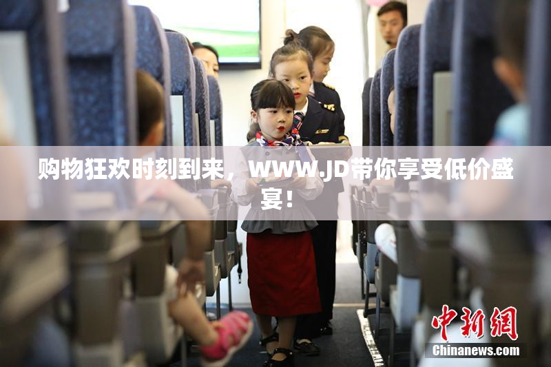 购物狂欢时刻到来，WWW.JD带你享受低价盛宴！
