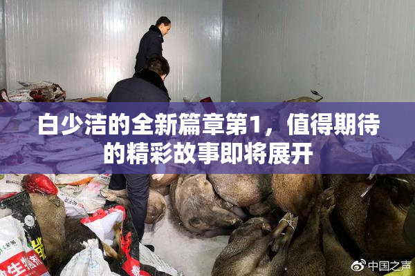 白少洁的全新篇章第1，值得期待的精彩故事即将展开