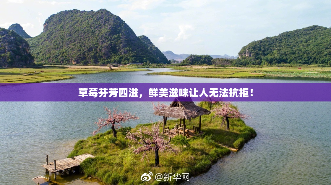 草莓芬芳四溢，鲜美滋味让人无法抗拒！