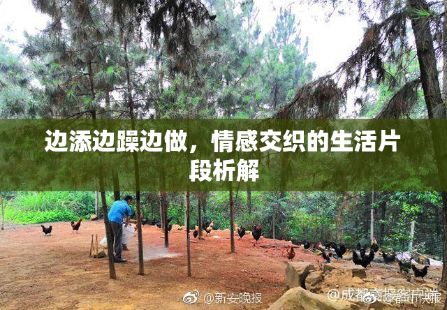 边添边躁边做，情感交织的生活片段析解
