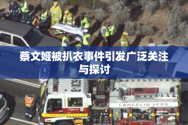 蔡文姬被扒衣事件引发广泛关注与探讨
