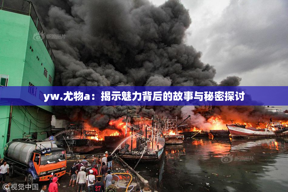 yw.尤物a：揭示魅力背后的故事与秘密探讨