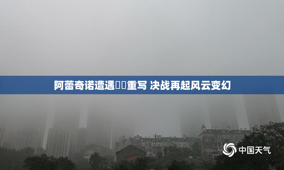 阿蕾奇诺遭遇❌‌重写 决战再起风云变幻