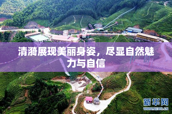 清漪展现美丽身姿，尽显自然魅力与自信