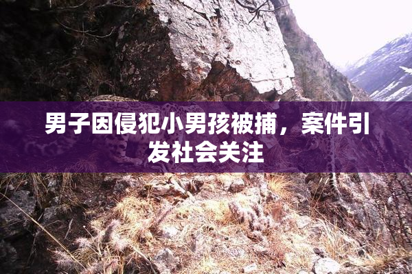 男子因侵犯小男孩被捕，案件引发社会关注