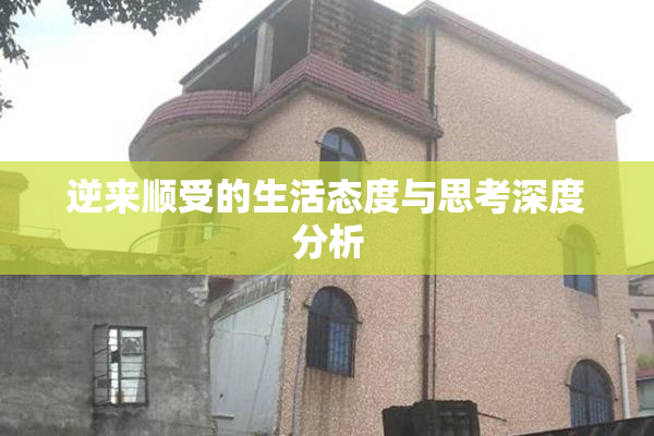 逆来顺受的生活态度与思考深度分析