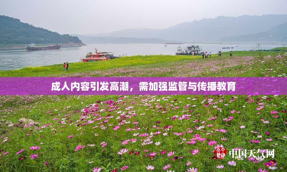 成人内容引发高潮，需加强监管与传播教育