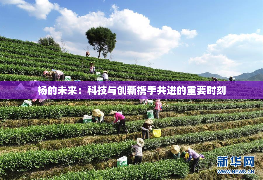 杨的未来：科技与创新携手共进的重要时刻