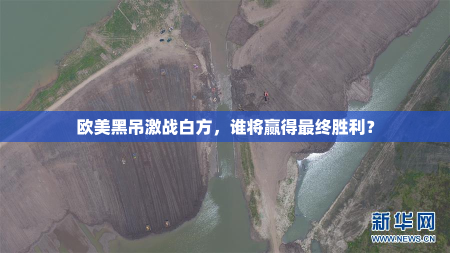 欧美黑吊激战白方，谁将赢得最终胜利？