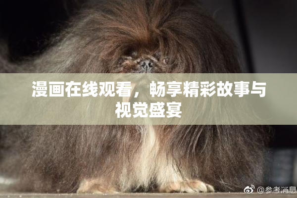 漫画在线观看，畅享精彩故事与视觉盛宴